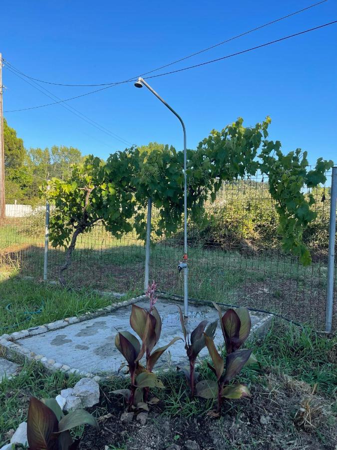 Beautiful Nearby House With Garden, Private Pool And Large Yard Sidárion