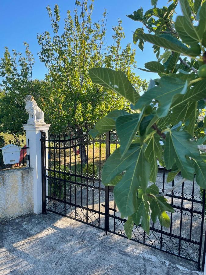 Casa vacanze Beautiful Nearby House With Garden, Private Pool And Large Yard *