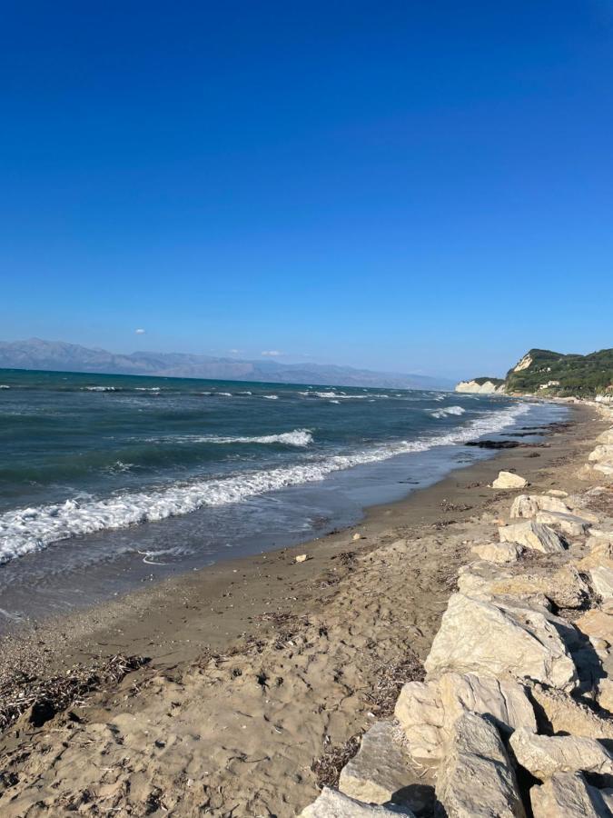 Beautiful Nearby Beach House With Garden, Private Pool And Large Yard